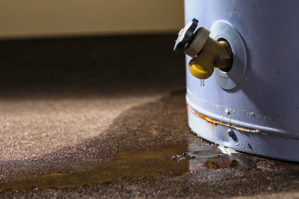 Best Fire Damage Restoration  in Key West, FL