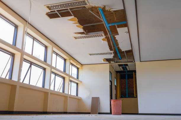 Best 24-hour water damage restoration  in Key West, FL