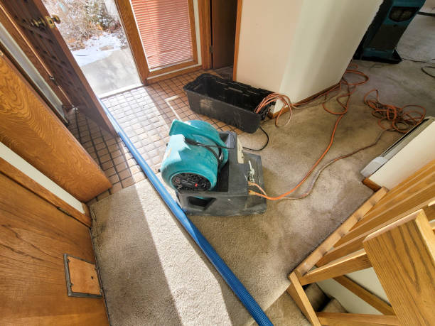 Carpet water damage restoration in Key West, FL
