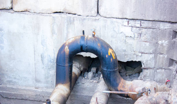 Best Carpet water damage restoration  in Key West, FL