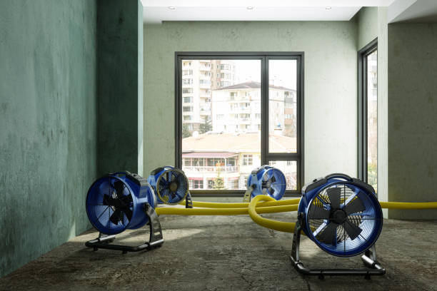 Best Water damage contractors near me  in Key West, FL